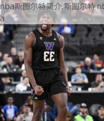 nba斯图尔特简介,斯图尔特 nba