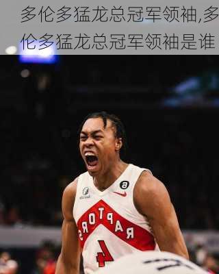 多伦多猛龙总冠军领袖,多伦多猛龙总冠军领袖是谁