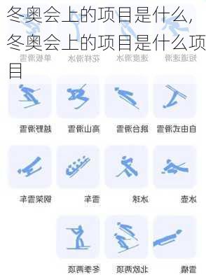 冬奥会上的项目是什么,冬奥会上的项目是什么项目