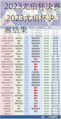 2023尤伯杯决赛,2023尤伯杯决赛结果