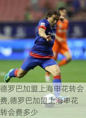 德罗巴加盟上海申花转会费,德罗巴加盟上海申花转会费多少
