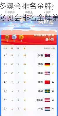 冬奥会排名金牌,冬奥会排名金牌第一