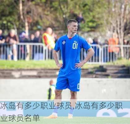 冰岛有多少职业球员,冰岛有多少职业球员名单
