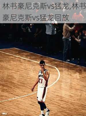 林书豪尼克斯vs猛龙,林书豪尼克斯vs猛龙回放