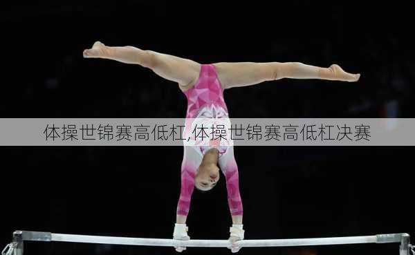 体操世锦赛高低杠,体操世锦赛高低杠决赛