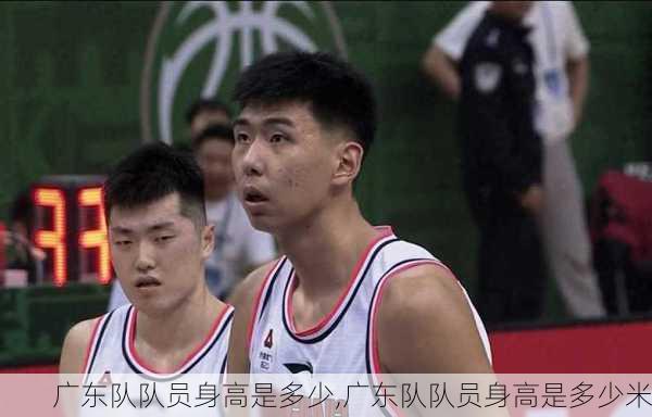 广东队队员身高是多少,广东队队员身高是多少米
