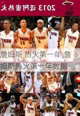 詹姆斯 热火第一年,詹姆斯热火第一年数据