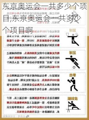 东京奥运会一共多少个项目,东京奥运会一共多少个项目啊