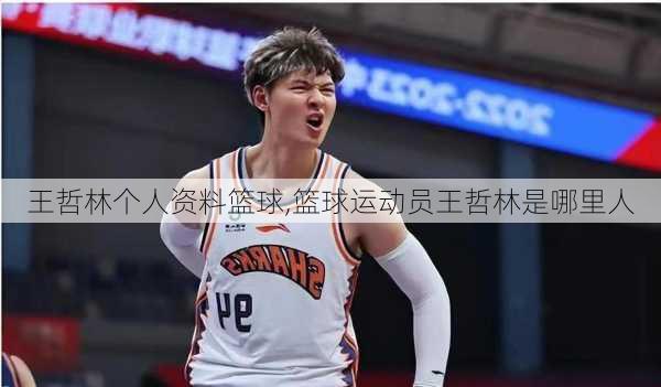 王哲林个人资料篮球,篮球运动员王哲林是哪里人