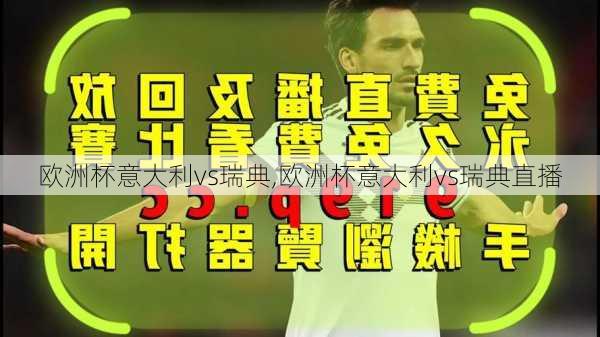 欧洲杯意大利vs瑞典,欧洲杯意大利vs瑞典直播