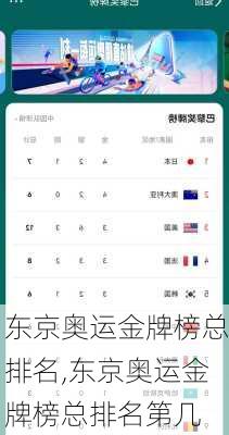 东京奥运金牌榜总排名,东京奥运金牌榜总排名第几