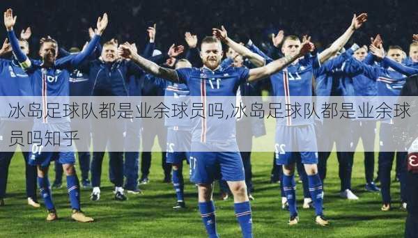 冰岛足球队都是业余球员吗,冰岛足球队都是业余球员吗知乎
