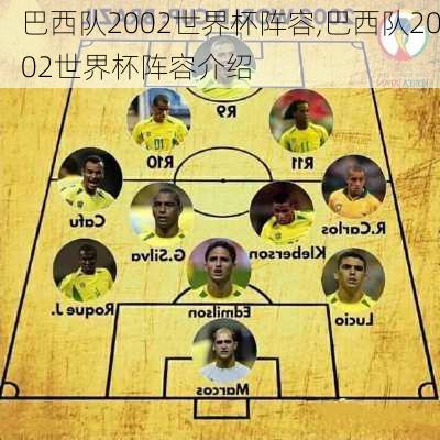 巴西队2002世界杯阵容,巴西队2002世界杯阵容介绍