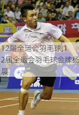 12届全运会羽毛球,12届全运会羽毛球金牌杨晨