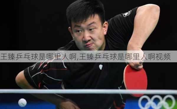 王臻乒乓球是哪里人啊,王臻乒乓球是哪里人啊视频
