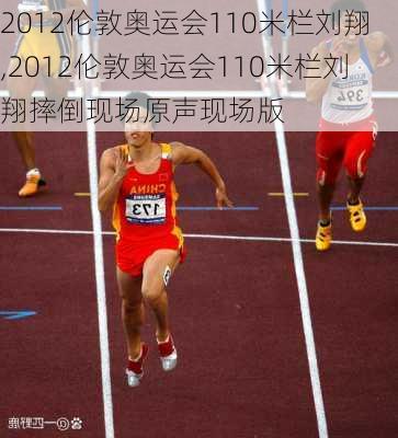 2012伦敦奥运会110米栏刘翔,2012伦敦奥运会110米栏刘翔摔倒现场原声现场版