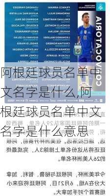 阿根廷球员名单中文名字是什么,阿根廷球员名单中文名字是什么意思