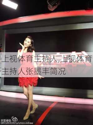 上视体育主持人,上视体育主持人张墨丰简况