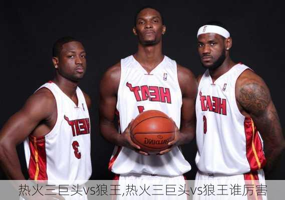 热火三巨头vs狼王,热火三巨头vs狼王谁厉害