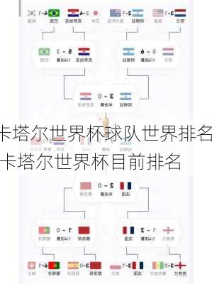 卡塔尔世界杯球队世界排名,卡塔尔世界杯目前排名