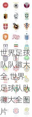 世界足球队队徽大全,世界足球队队徽大全图片