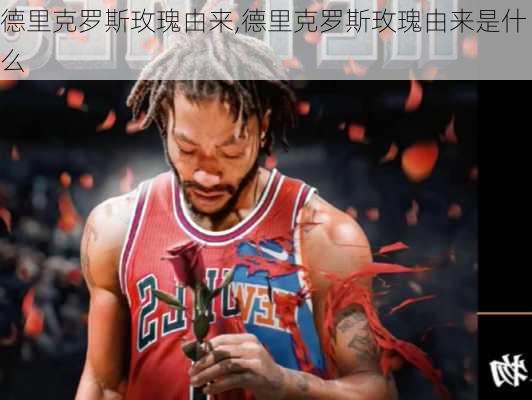 德里克罗斯玫瑰由来,德里克罗斯玫瑰由来是什么
