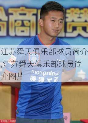 江苏舜天俱乐部球员简介,江苏舜天俱乐部球员简介图片
