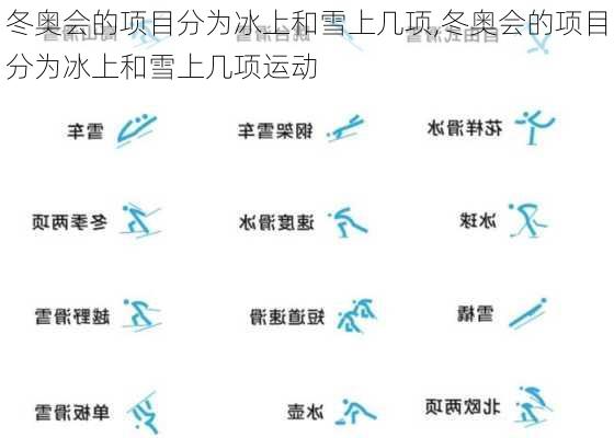 冬奥会的项目分为冰上和雪上几项,冬奥会的项目分为冰上和雪上几项运动