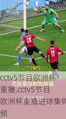 cctv5节目欧洲杯重播,cctv5节目欧洲杯重播进球集锦视频