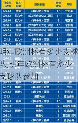 明年欧洲杯有多少支球队,明年欧洲杯有多少支球队参加