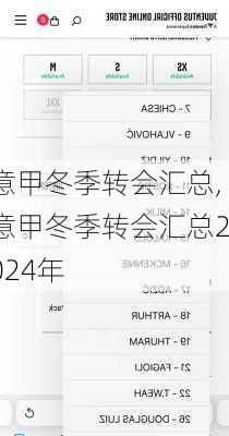 意甲冬季转会汇总,意甲冬季转会汇总2024年