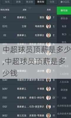 中超球员顶薪是多少,中超球员顶薪是多少钱