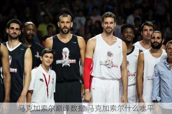 马克加索尔巅峰数据,马克加索尔什么水平