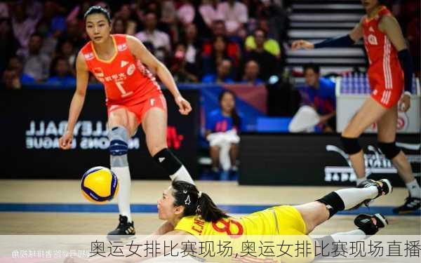 奥运女排比赛现场,奥运女排比赛现场直播