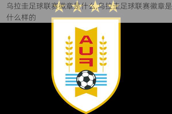 乌拉圭足球联赛徽章是什么,乌拉圭足球联赛徽章是什么样的