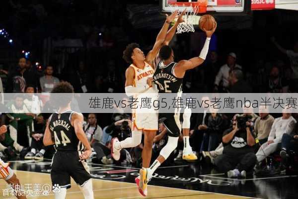 雄鹿vs老鹰g5,雄鹿vs老鹰nba半决赛