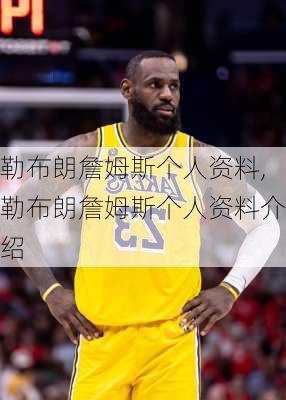 勒布朗詹姆斯个人资料,勒布朗詹姆斯个人资料介绍