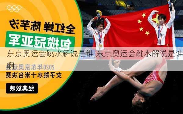 东京奥运会跳水解说是谁,东京奥运会跳水解说是谁啊
