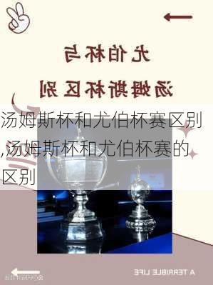 汤姆斯杯和尤伯杯赛区别,汤姆斯杯和尤伯杯赛的区别