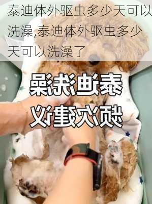 泰迪体外驱虫多少天可以洗澡,泰迪体外驱虫多少天可以洗澡了