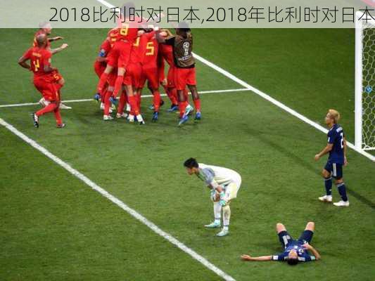2018比利时对日本,2018年比利时对日本