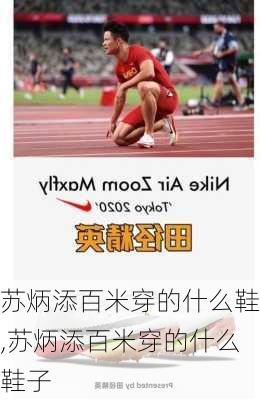 苏炳添百米穿的什么鞋,苏炳添百米穿的什么鞋子