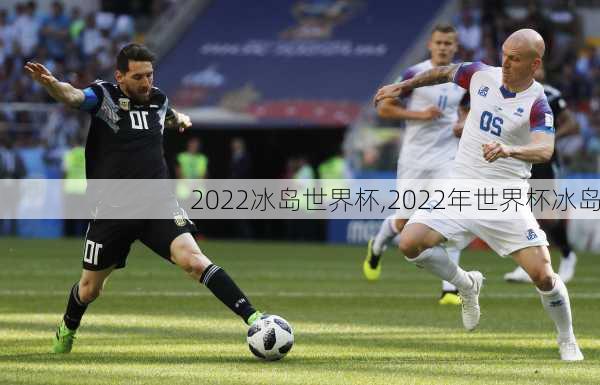 2022冰岛世界杯,2022年世界杯冰岛