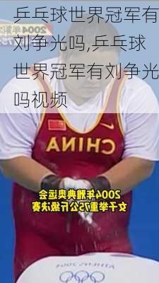 乒乓球世界冠军有刘争光吗,乒乓球世界冠军有刘争光吗视频