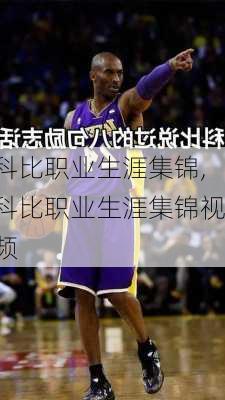 科比职业生涯集锦,科比职业生涯集锦视频