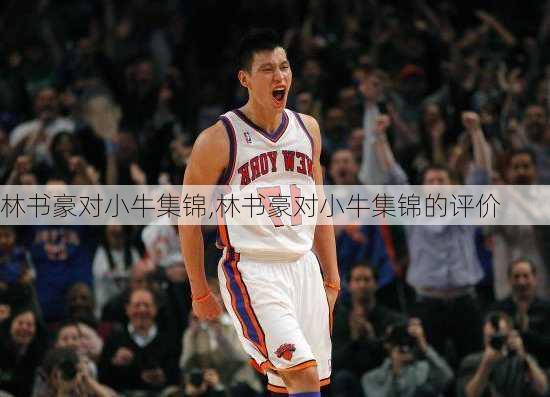 林书豪对小牛集锦,林书豪对小牛集锦的评价