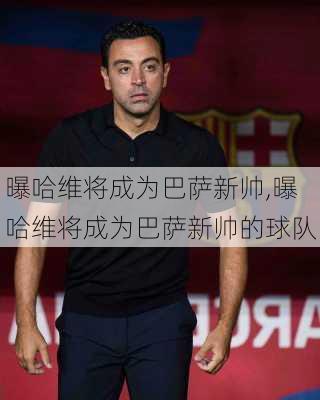 曝哈维将成为巴萨新帅,曝哈维将成为巴萨新帅的球队