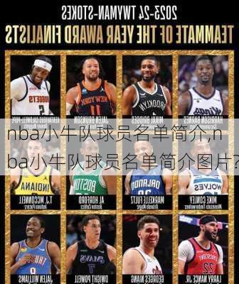 nba小牛队球员名单简介,nba小牛队球员名单简介图片?