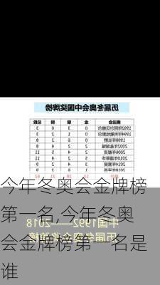 今年冬奥会金牌榜第一名,今年冬奥会金牌榜第一名是谁
