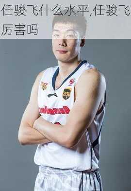 任骏飞什么水平,任骏飞厉害吗